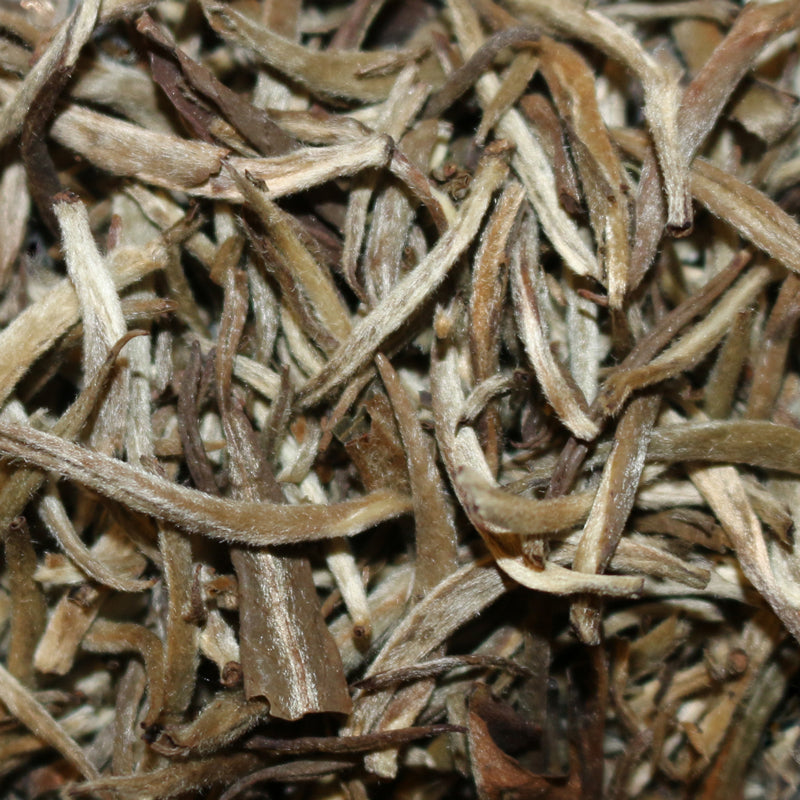 Khongea Estate Assam Silver Needle White Tea