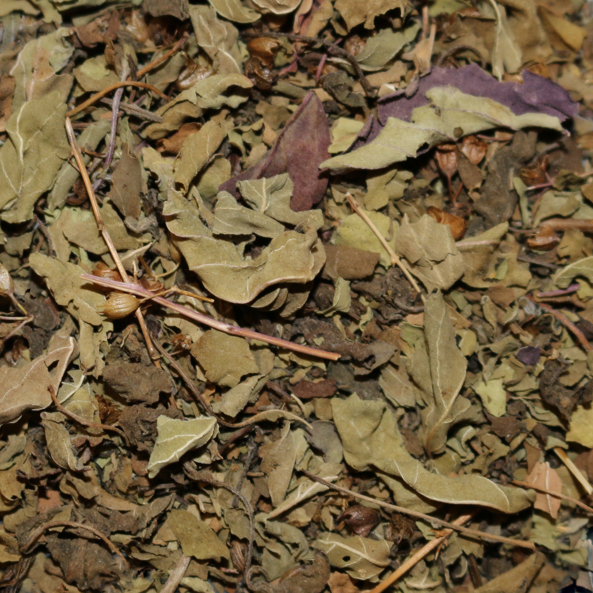 Tulsi (Holy Basil) Leaf Blend Organic Herbal Tisane