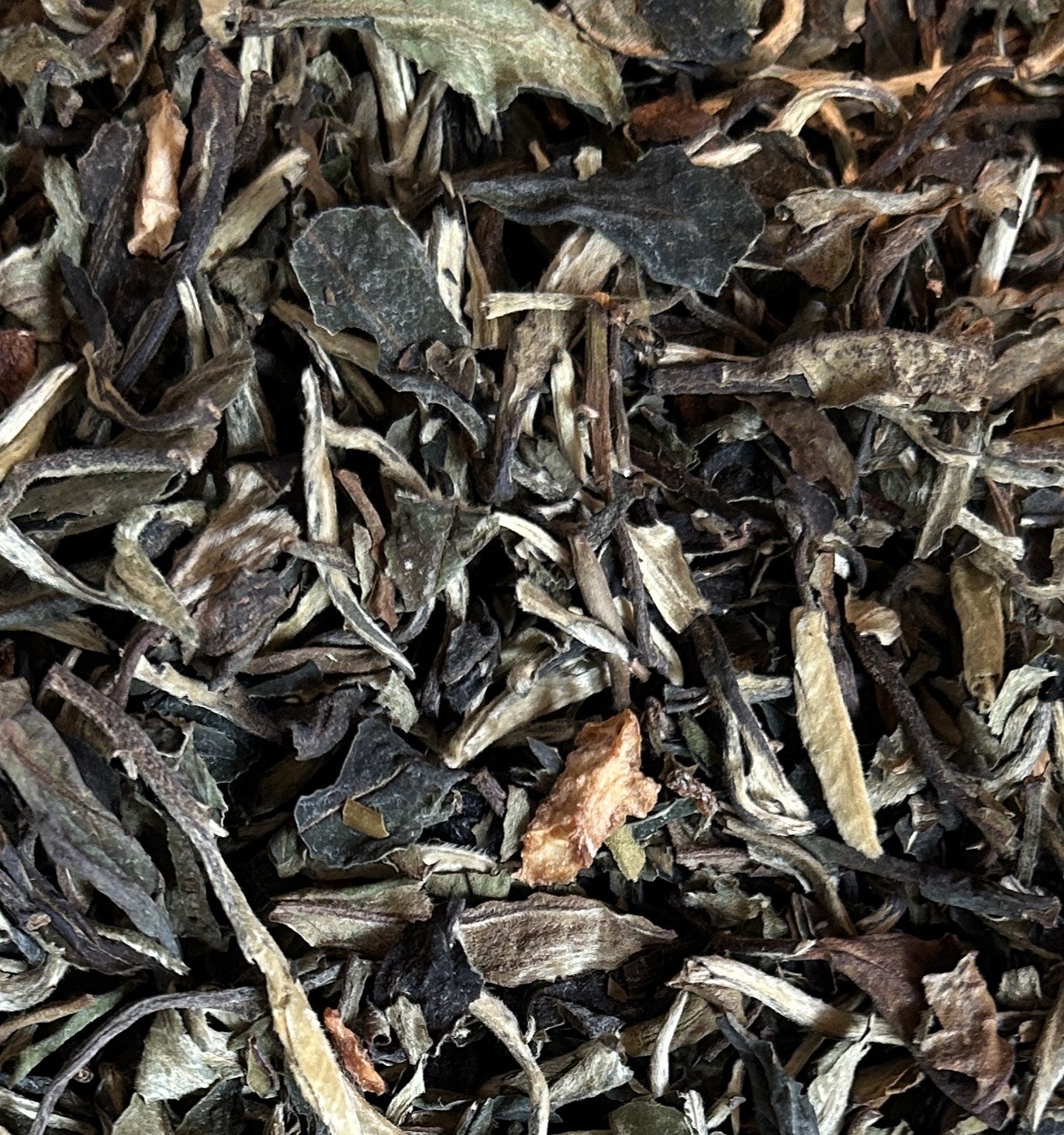 Blueberry Lemon White Tea