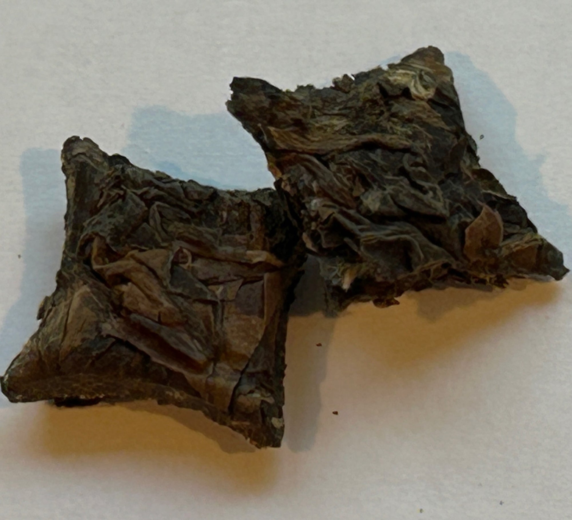 Gong Mei Aged White Tea Mini Bricks