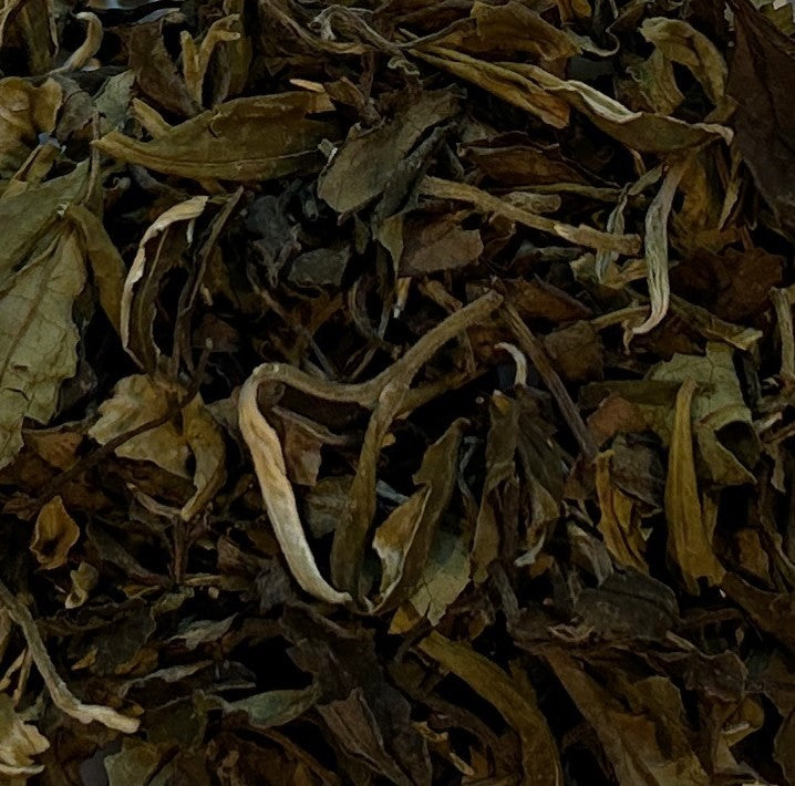 Guizhou White Tea