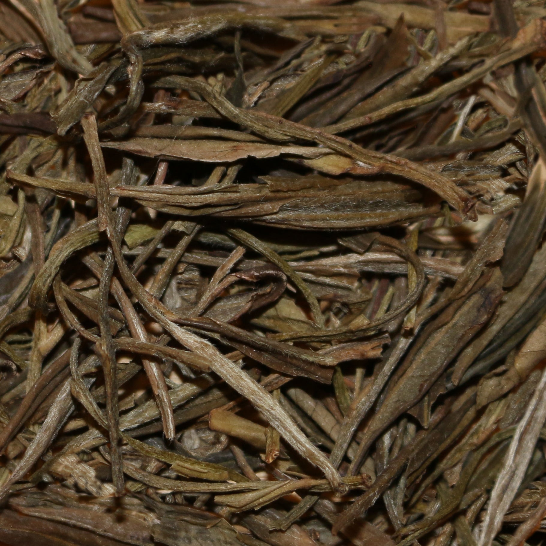 Wild-Grown Anhui China Green Tea