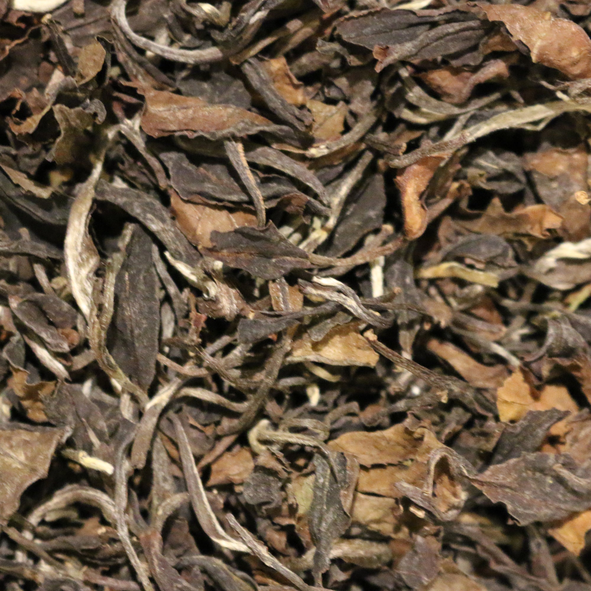 Bitaco Tea Estate Organic Colombia White Tea