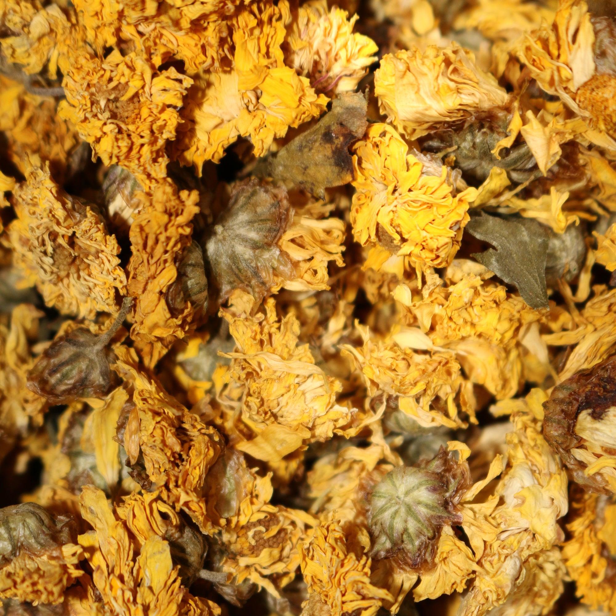 Chrysanthemum Yellow Blossom Organic Herbal Tisane
