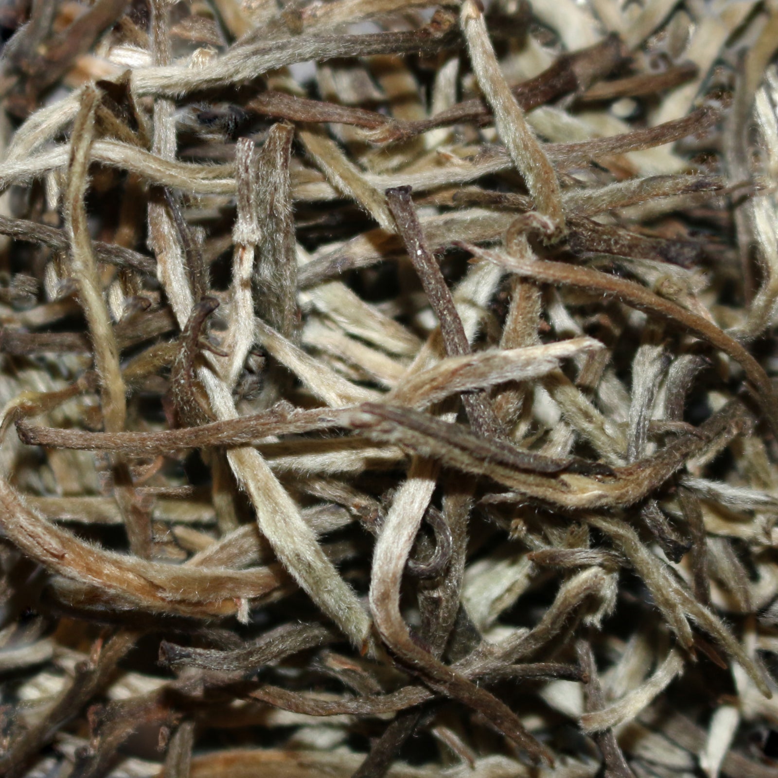 Doke Estate Silver Needle India White Tea