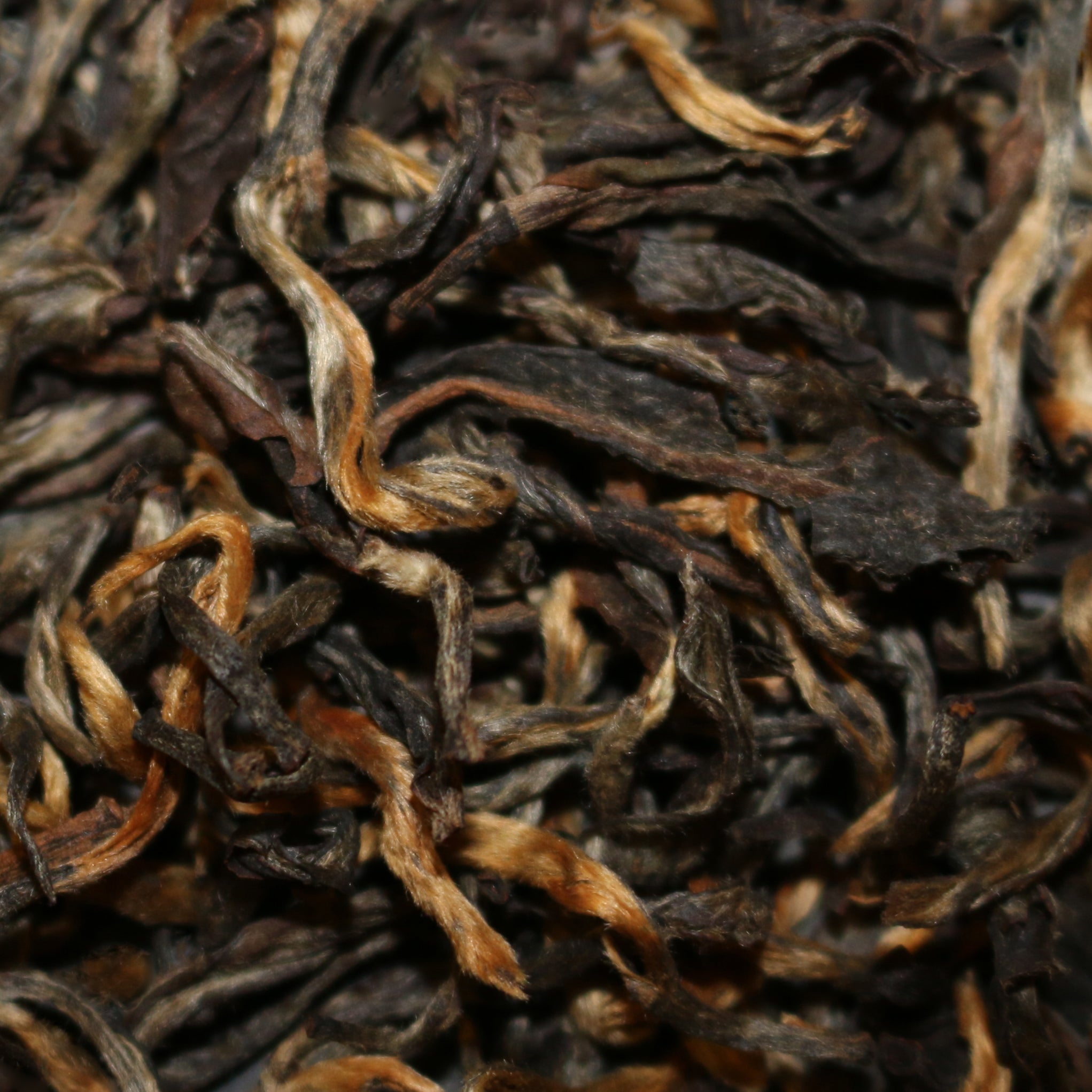 Donyi Polo Estate Reserve India Wulong Tea The Pleasures of Tea