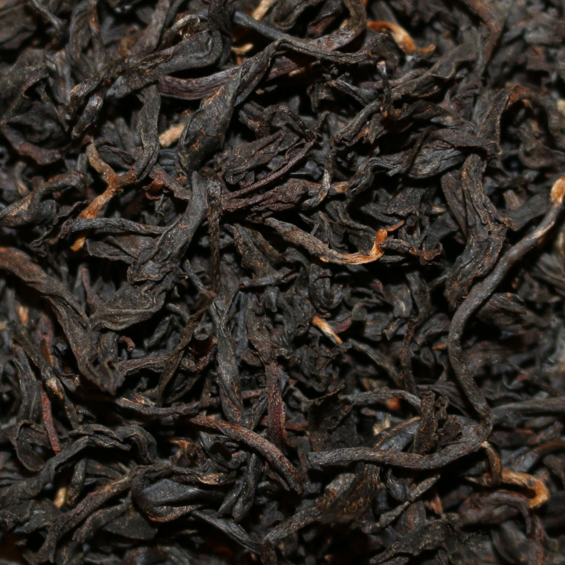 Bug-Bitten Formosa Black Tea