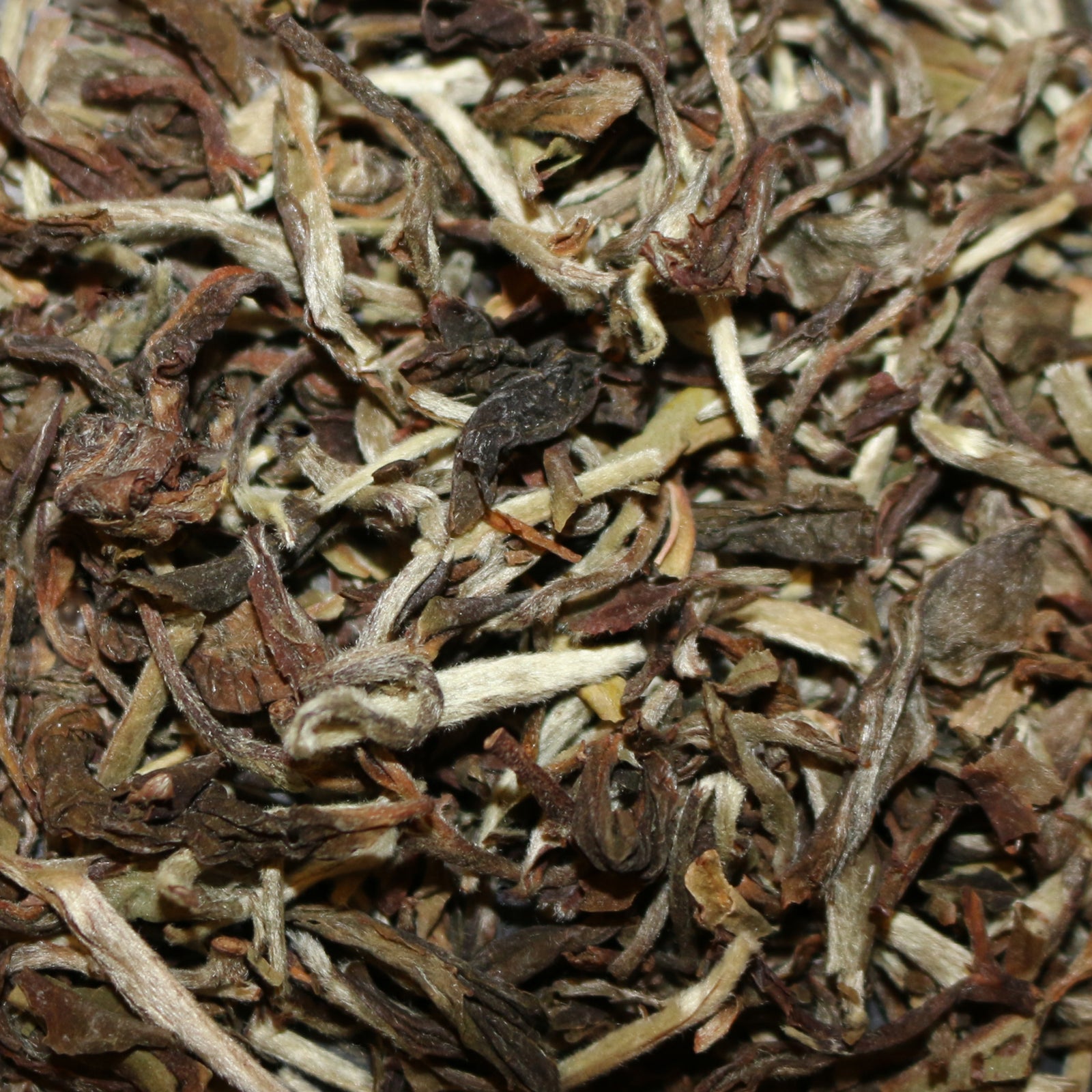 Glenburn Estate Spring Darjeeling India Wulong Tea