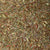 Green Rooibos Organic Herbal Tisane