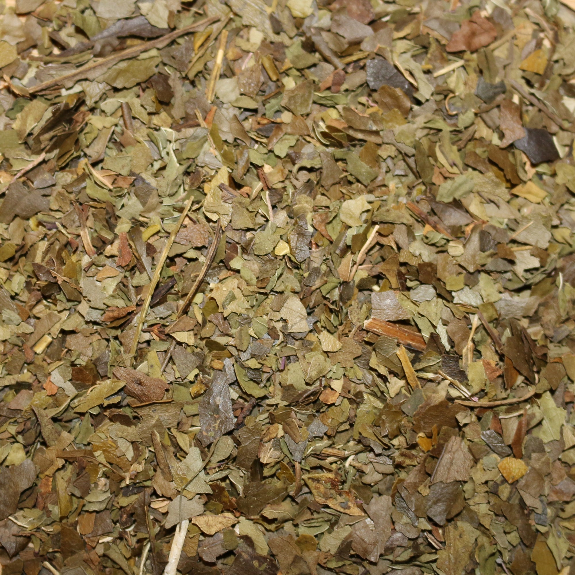 Guayusa Peppermint Organic Herbal Tisane