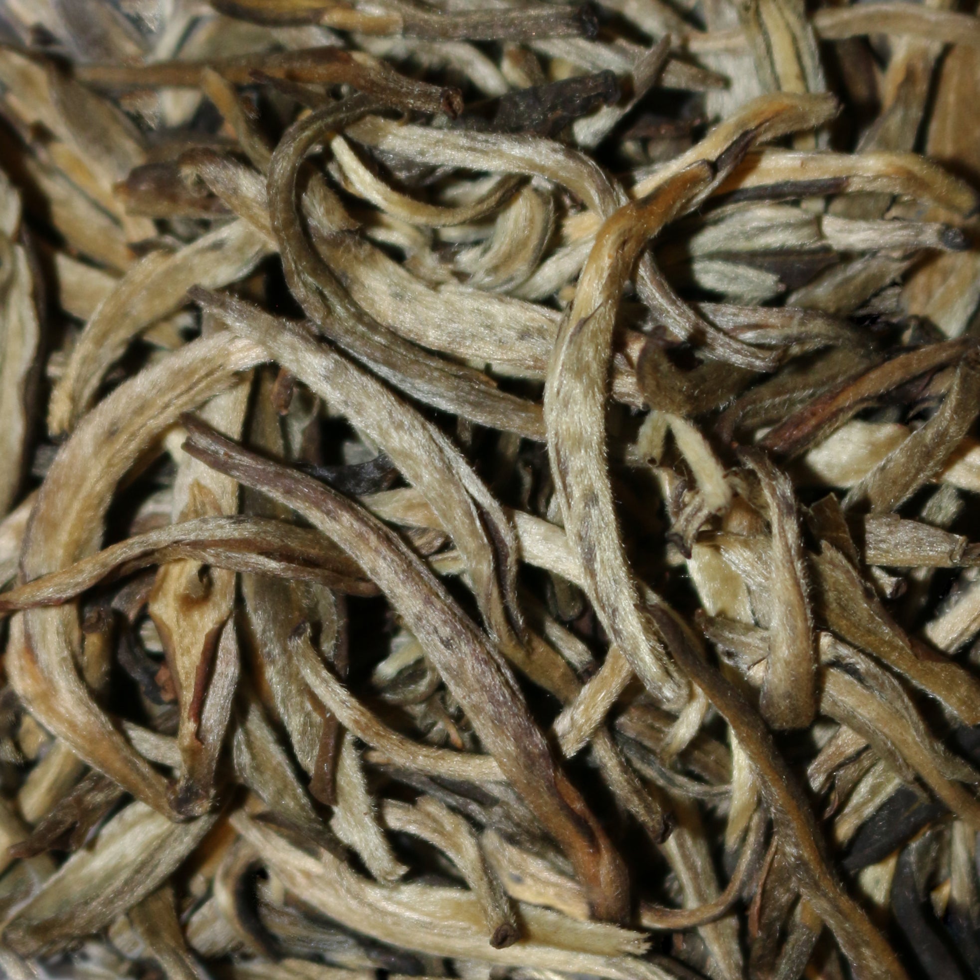 Jasmine Scented Silver Needle China White Tea