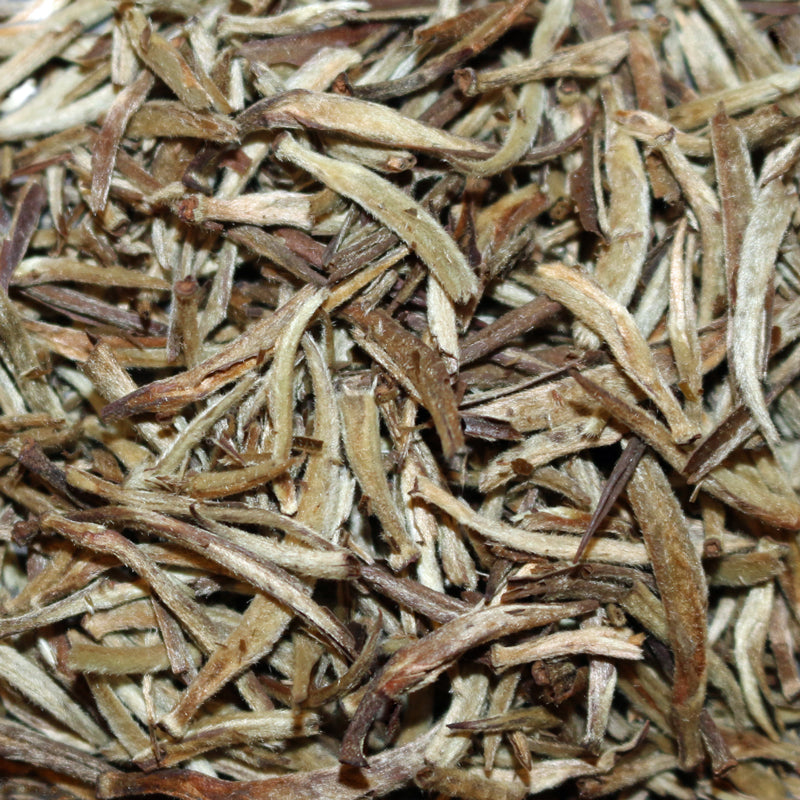 Kenyan Silver Needle White Tea
