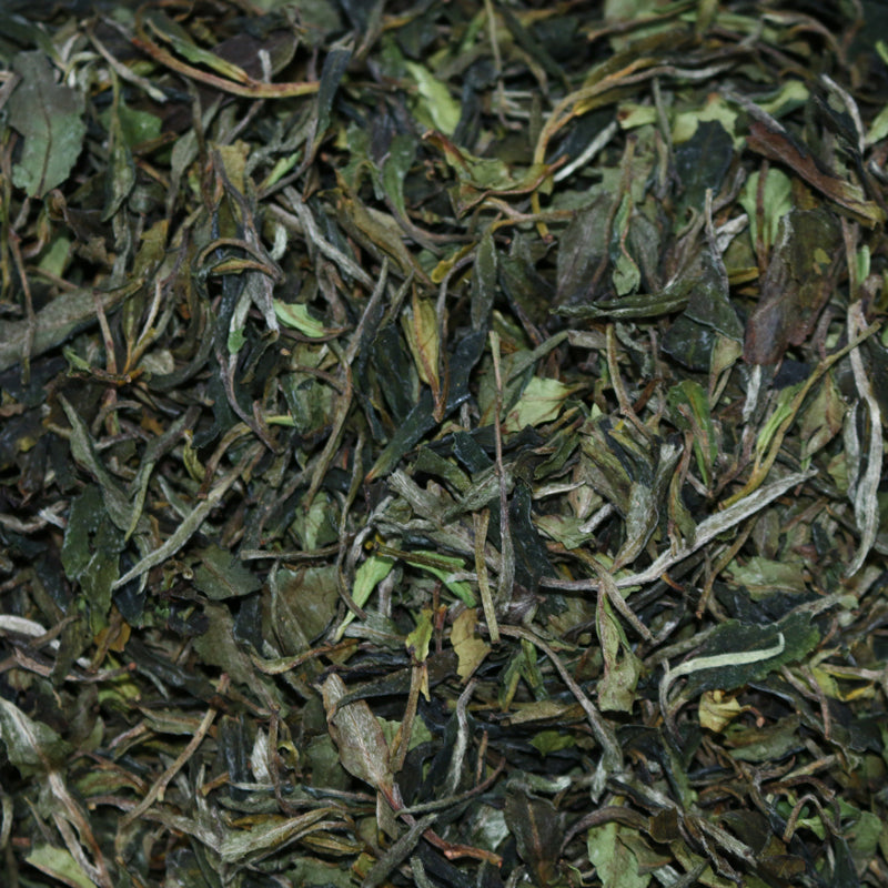 Kumaon Organic India White Tea