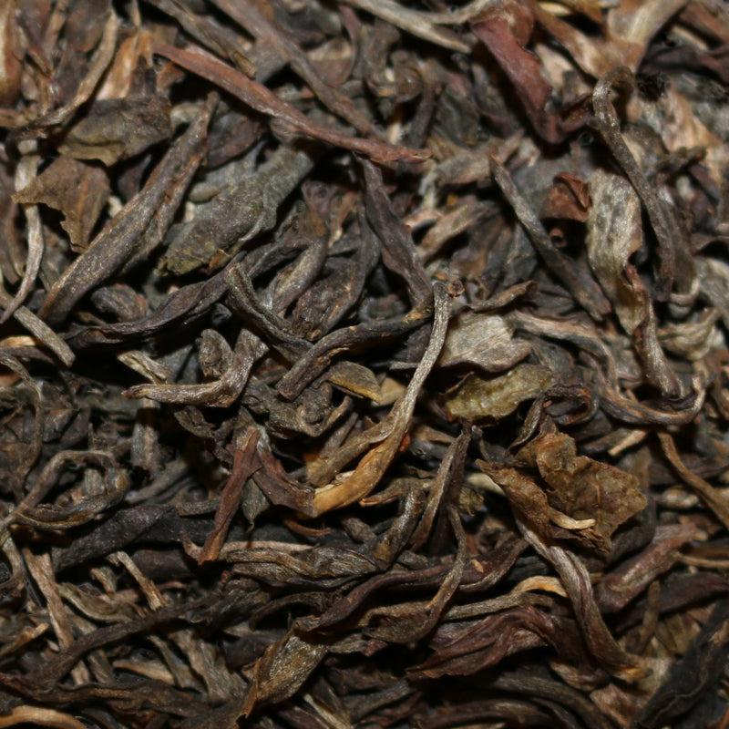 Loose Leaf Sheng Pu-er 2012