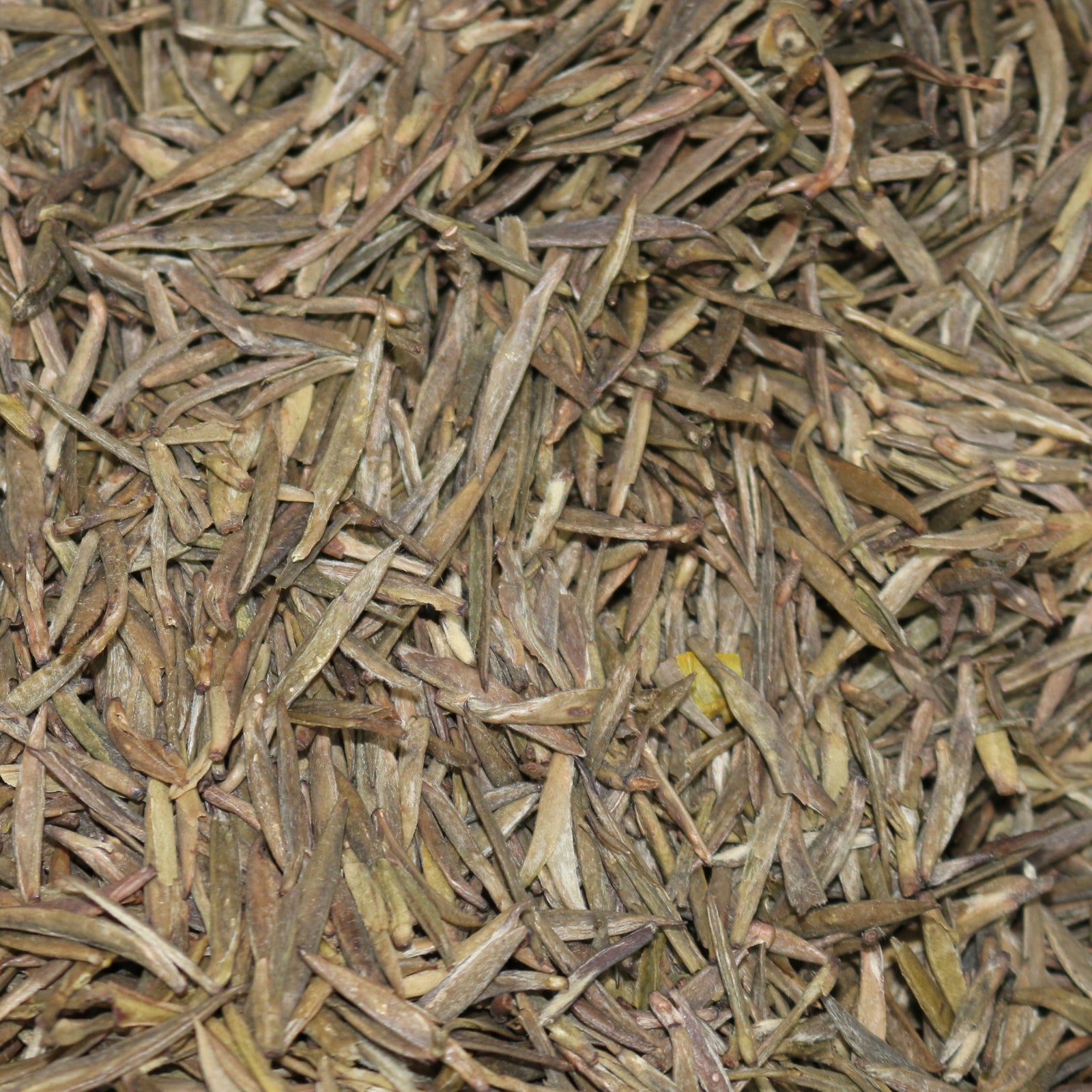 Mengding Huang Ya China Yellow Tea