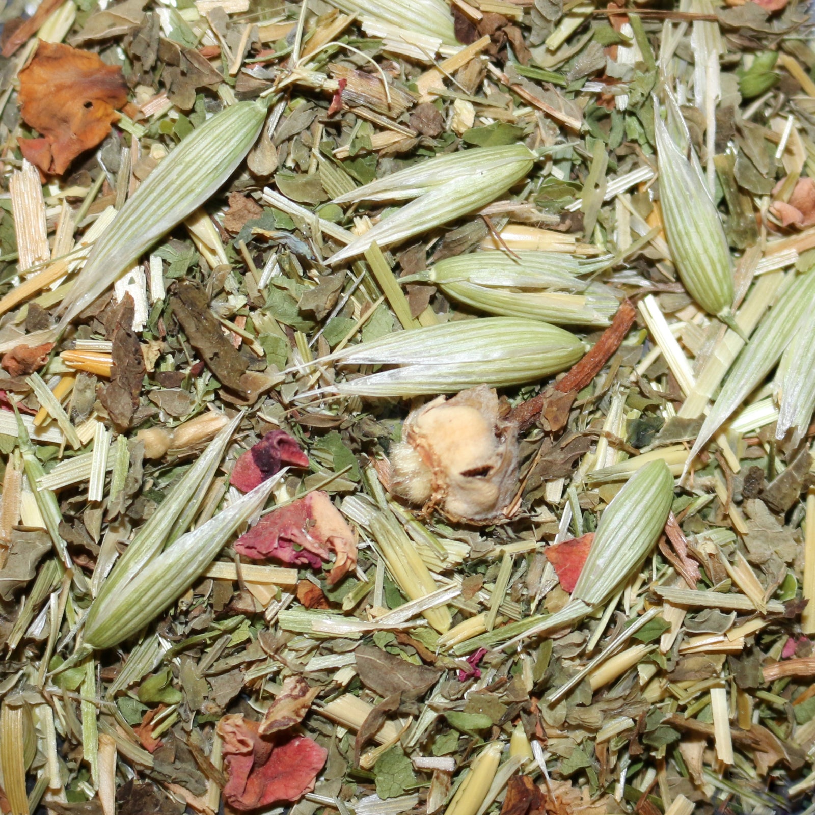 Nervine Tonic Organic Herbal Tisane