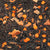 Pumpkin Pie Black