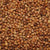 Roasted Himalayan Tartary Buckwheat Herbal Tisane