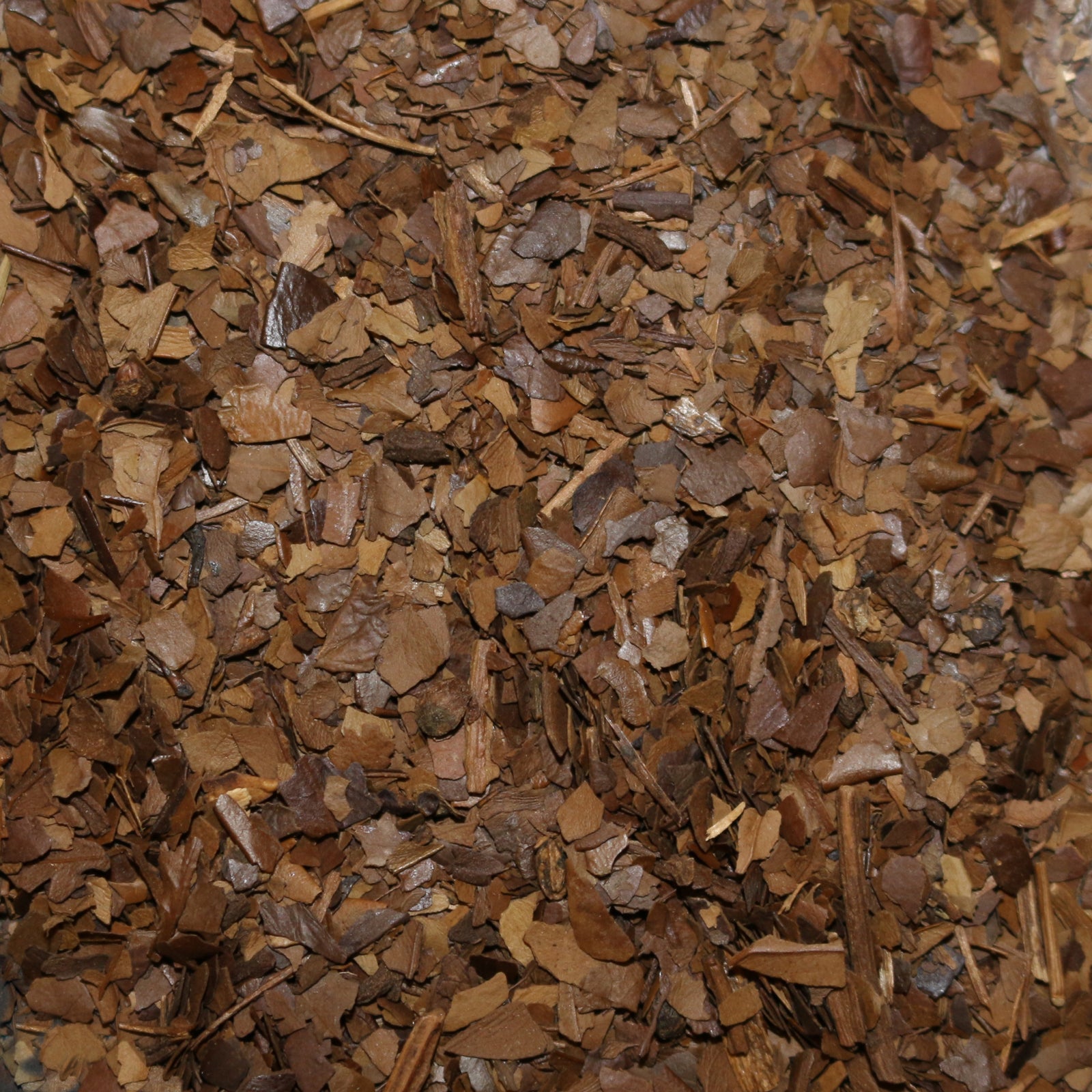 Yerba Maté Roasted Herbal Tisane