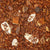 Rooibos Orange Almond Spice Herbal Tisane