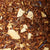 Rooibos Pineapple Coconut Tisane