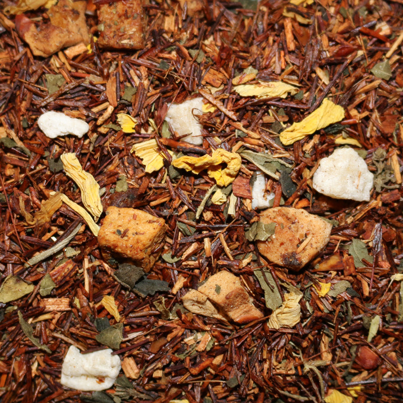 Rooibos Pumpkin Creme Herbal Tisane