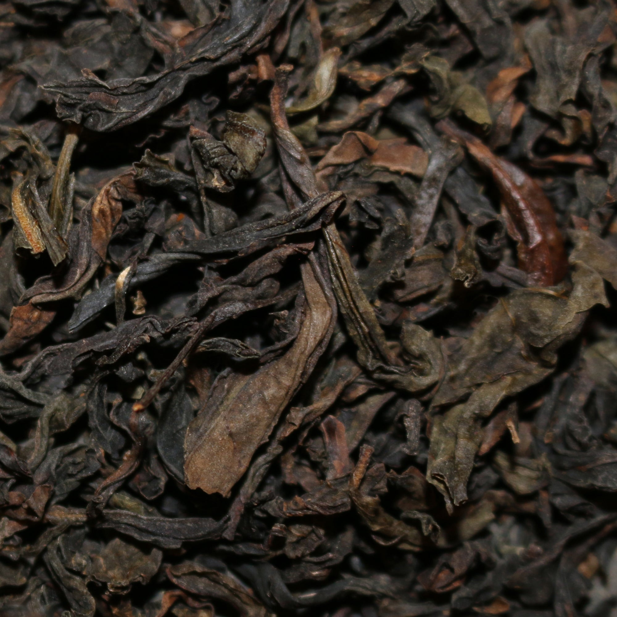 Rou Gui Wu Yi China Wulong Tea