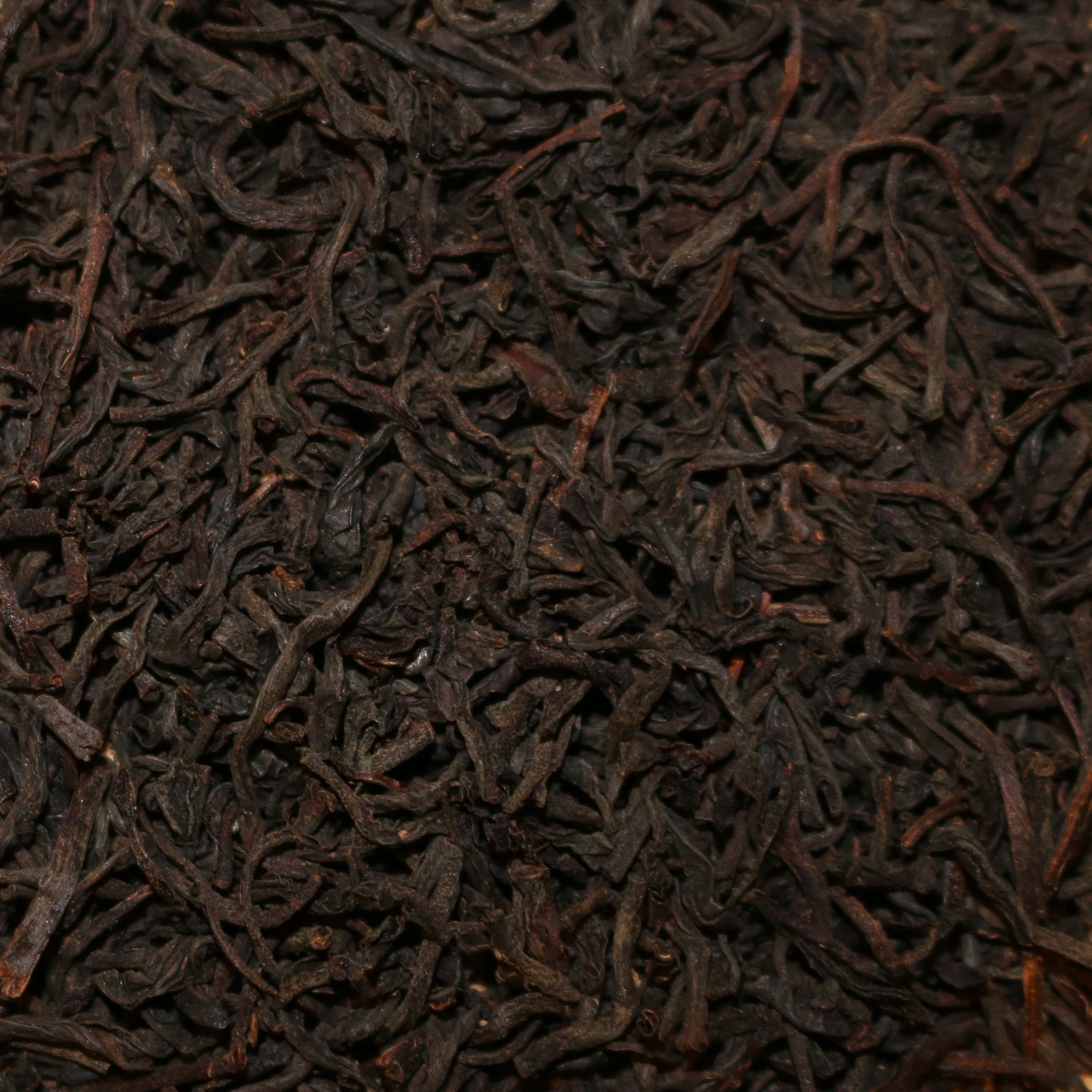 Santosa Estate BOP Java Black Tea