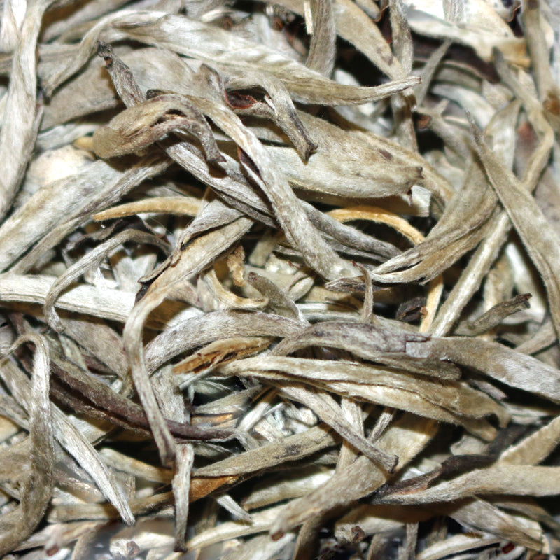 Wild-Grown Silver Needle Vietnam White Tea