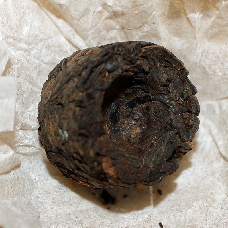 Shou Mini Tuo Cha with Chrysanthemum Pu-er Tea