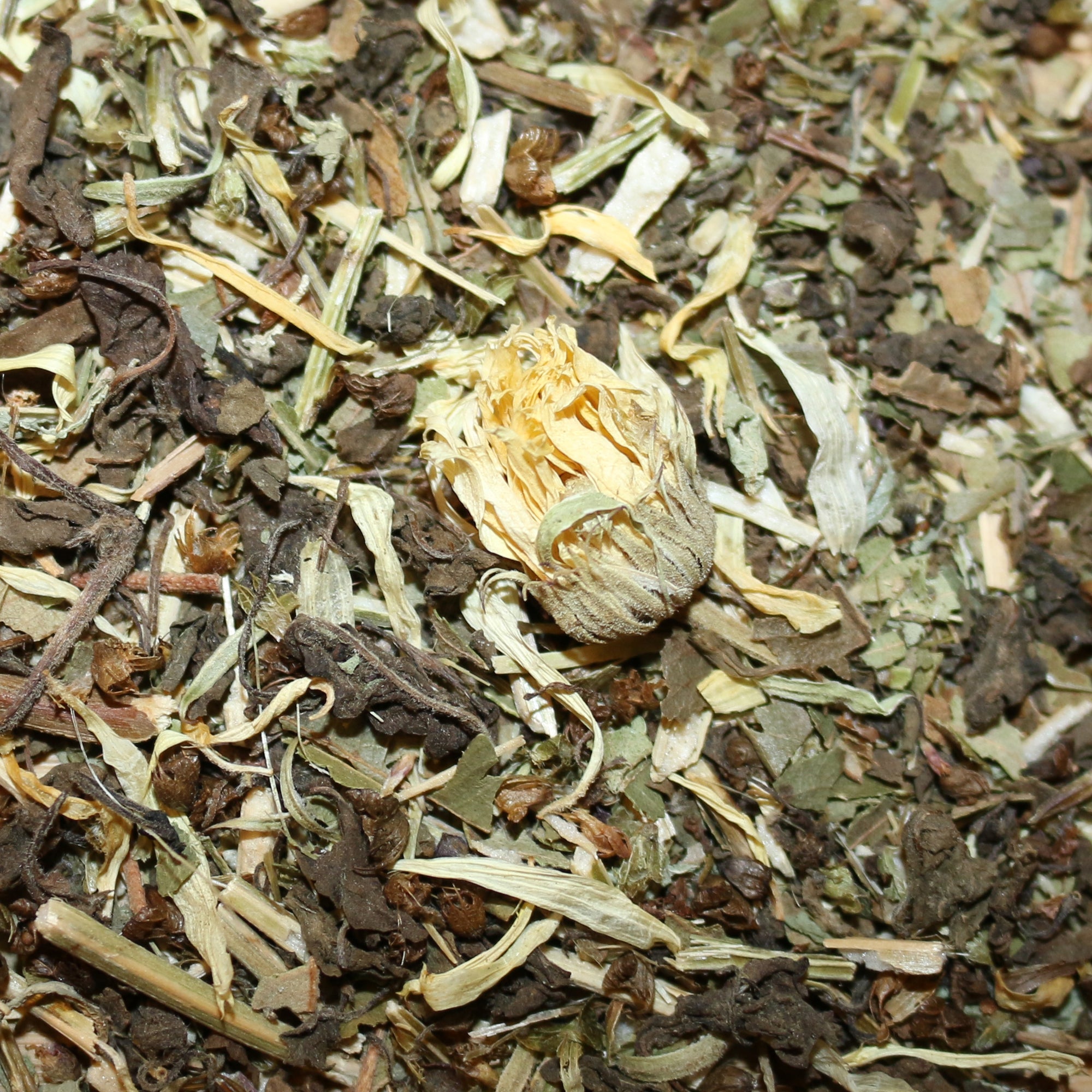 Tulsi (Holy Basil) Lemon Myrtle Marigold Organic Herbal Tisane