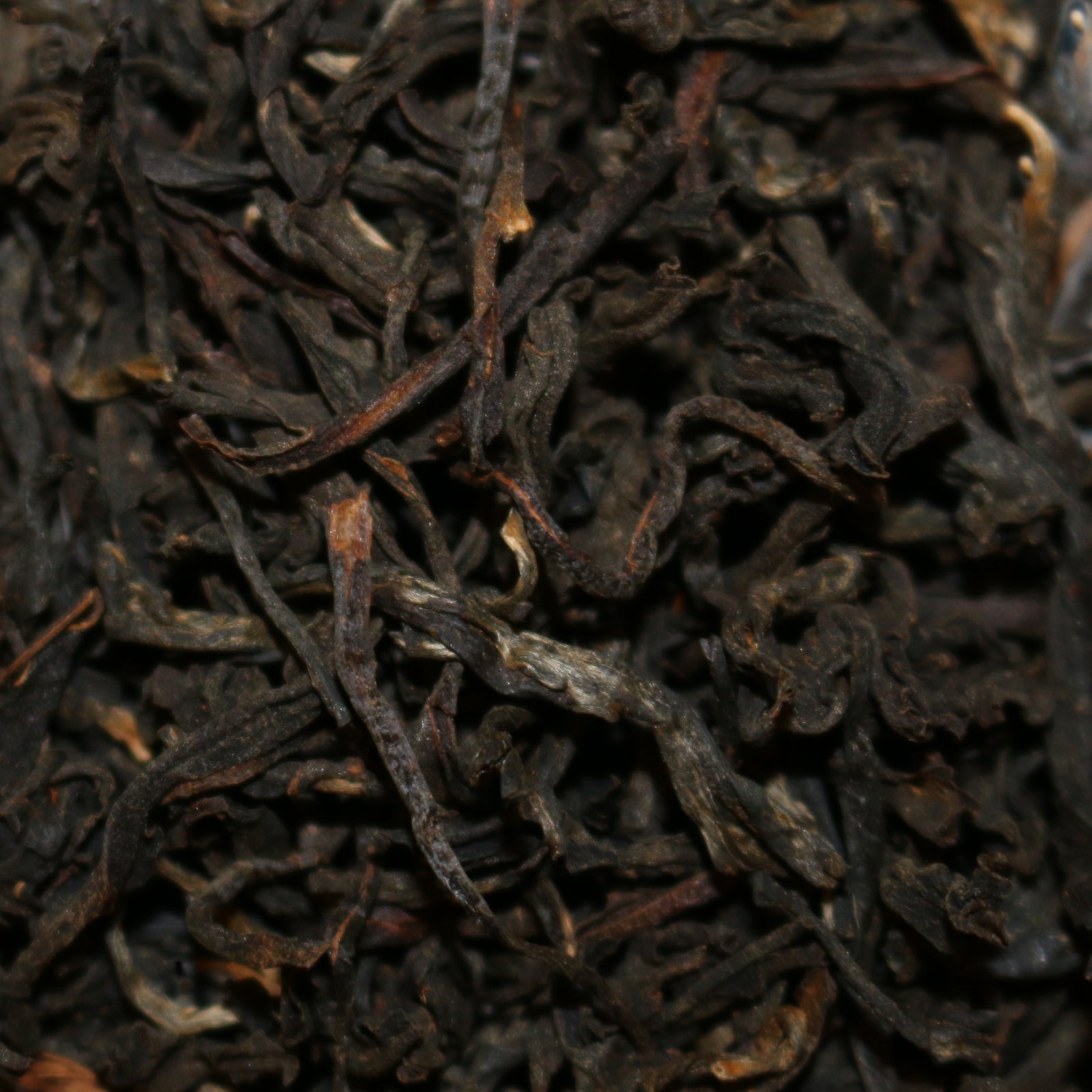 Wild-Grown Ancient Tree Vietnam Black Tea