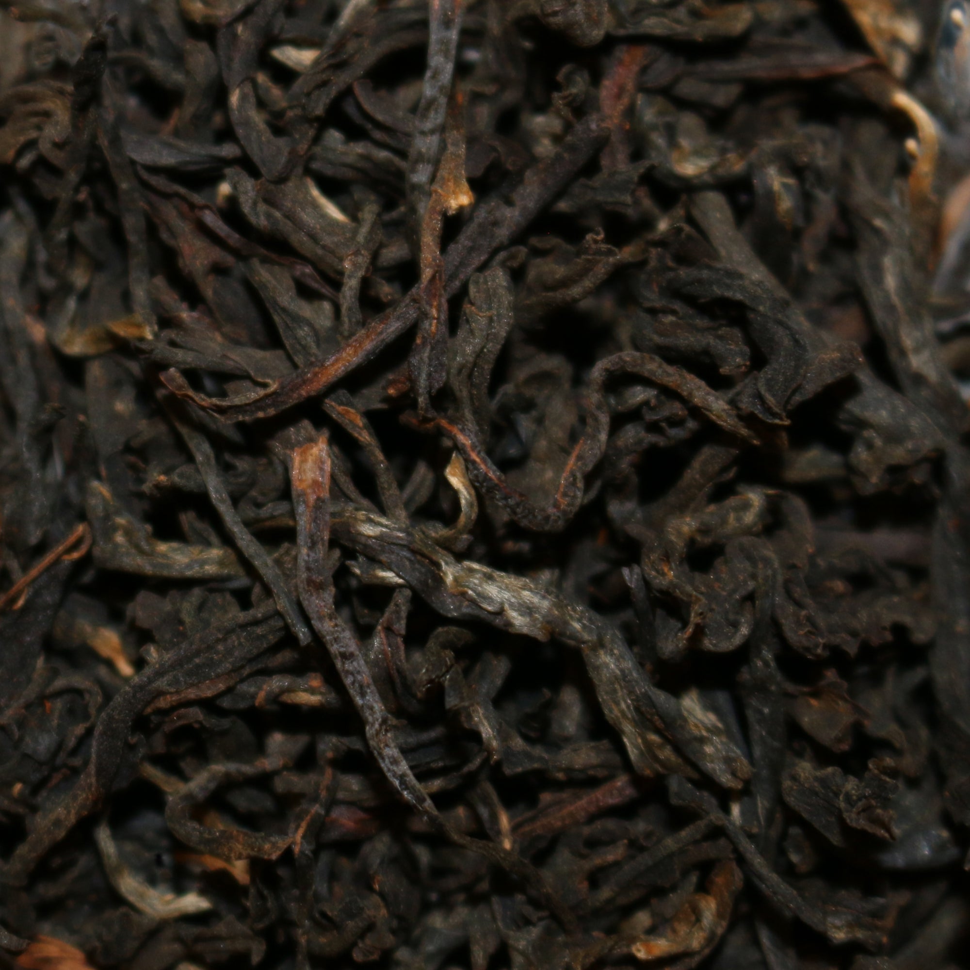 Wild Grown Ancient Tree Vietnam Black Tea