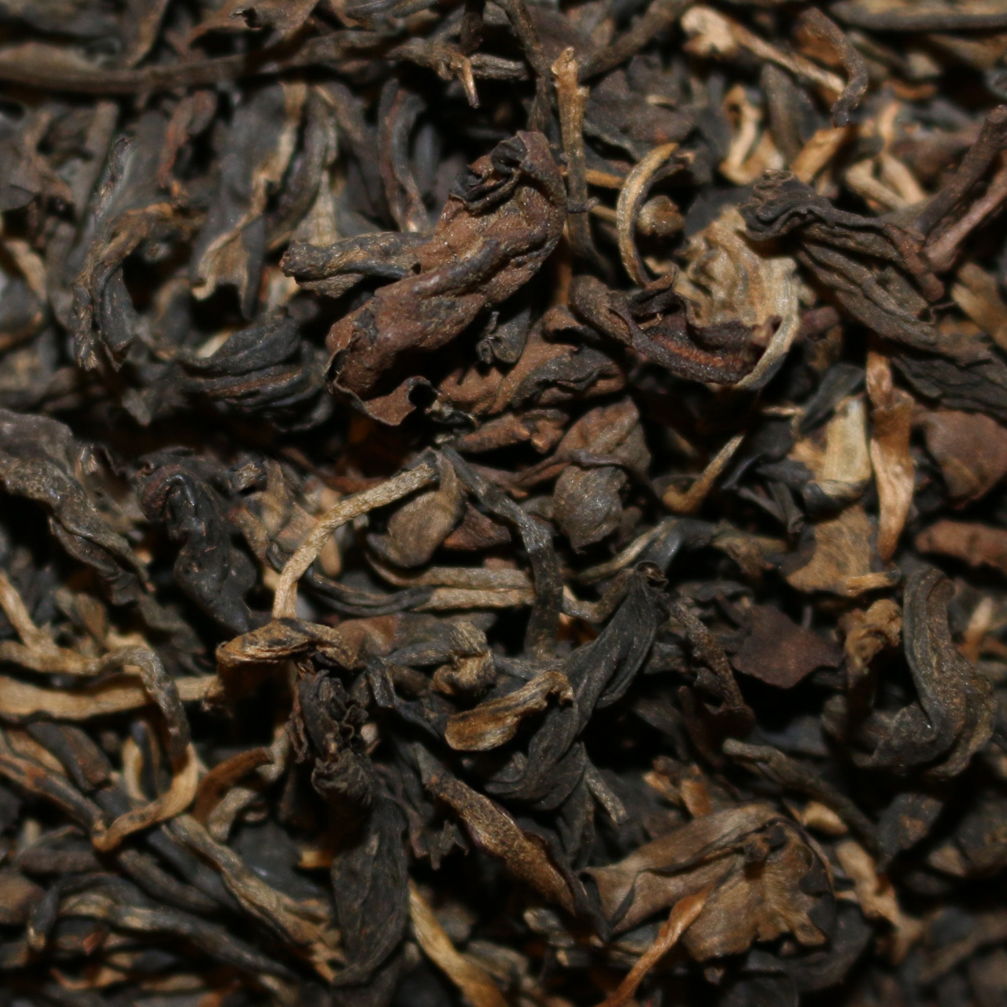 Wild-Grown Ancient Tree Vietnam Wulong Tea