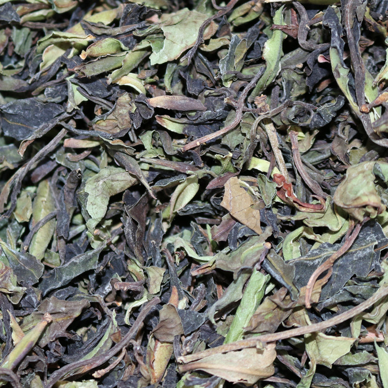 Wild Tree Purple Leaf Moonlight China White Tea