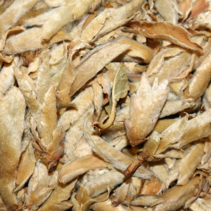 Ya Bao China White Tea