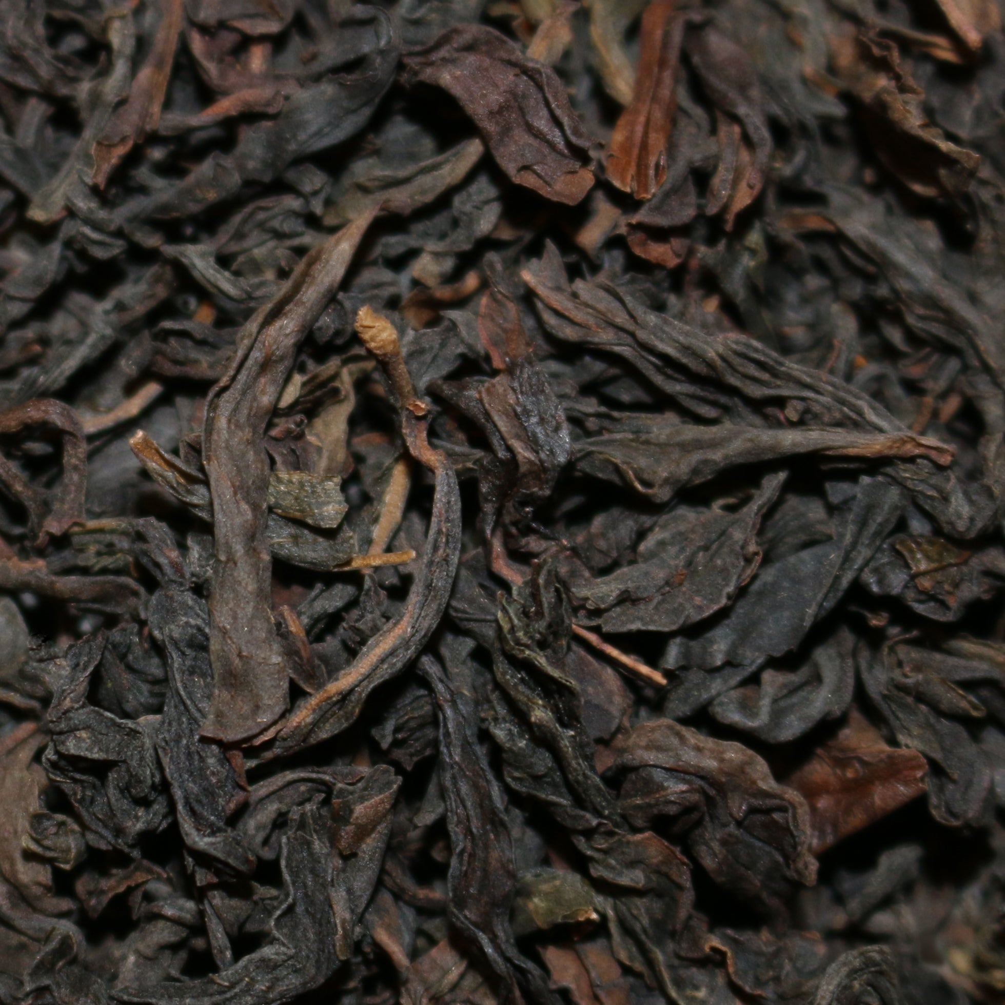 Wu Yi Large Leaf China Black Tea