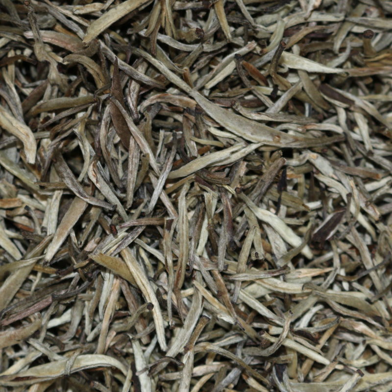 Yin Zhen (Silver Needle) China White Tea